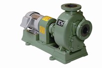  Bơm  cát và bùn -    Direct coupling  type