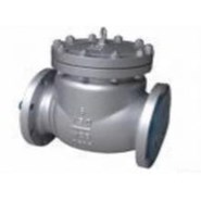  Van  1 chiều   -    Swing-check valve