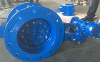 Butterfly Valve 