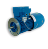 CEMP  Motor Explosion proof