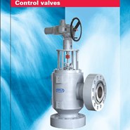 Control Valve