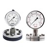 Diaphragm Pressure Gauge  with Flange connection