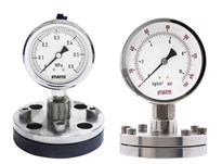 Diaphragm Pressure Gauge  with Flange connection