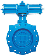 Double Eccentric Butterfly Valve