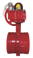 Fire Signal Butterfly Valve