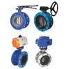 Flange Butterfly Valve