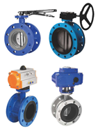 Flange Butterfly Valve