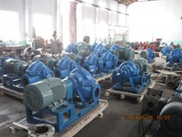 Horizontal   pump