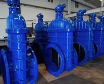 Knight Gate  Valve  - 3