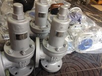 SAFETY RELIEF VALVE