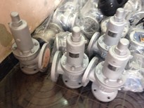SAFETY RELIEF VALVE