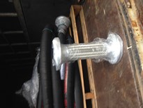 SS316  FLEXIBLE HOSE