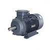 Siemens  Beide Motor  