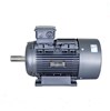 Siemens  Beide Motor  