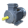Siemens  Beide Motor  