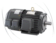 TECO Motor   with  Inverter