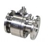 Van  Bi inox  -   SS Ball valve
